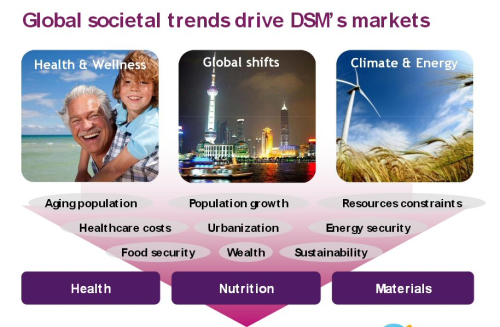 Figure 1: DSM's strategy is to create a sustainable business based around the three 'megatrends' of global shifts, climate & energy, and health & wellness.