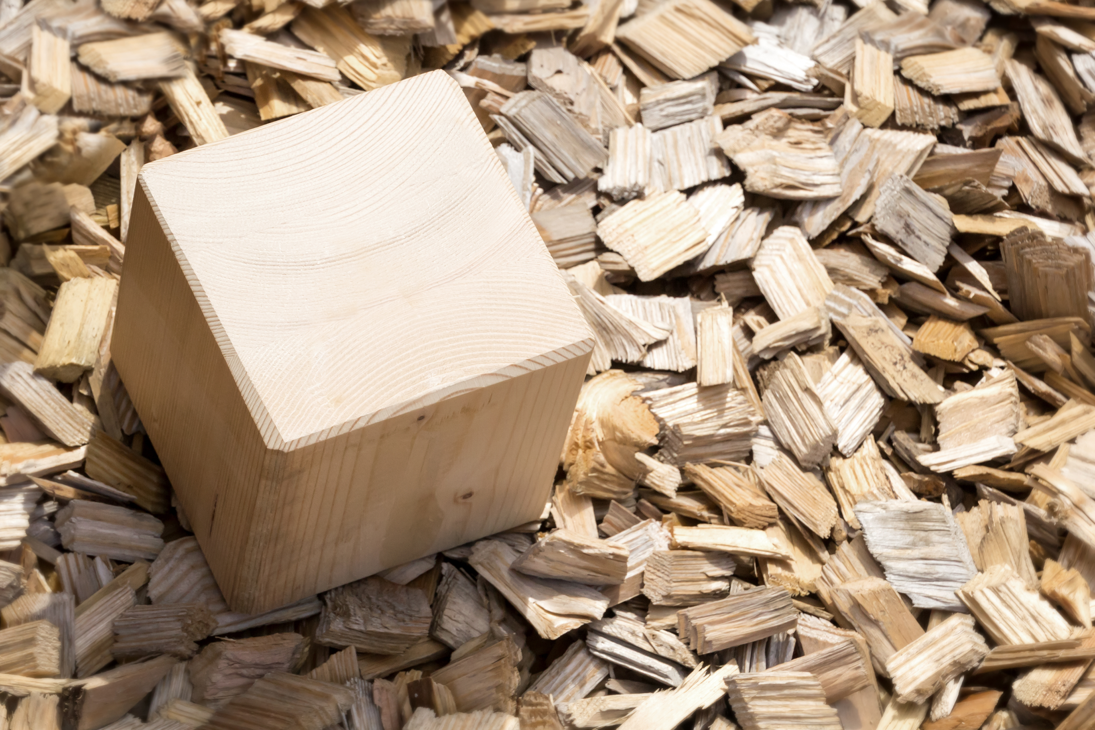 There is ongoing global market demand for balsa wood.