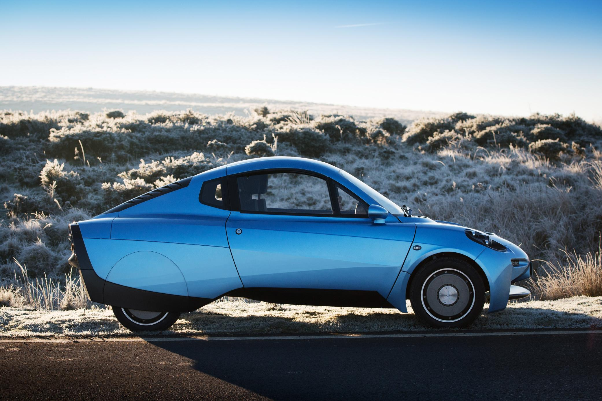 A door for a hydrogen powered car has been build using flax supplied by a materials specialist.