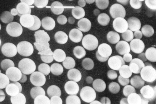 Figure 3. Hollow glass microspheres (200x magnification).