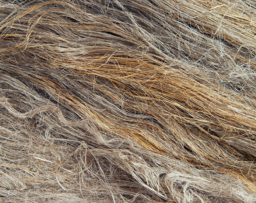 The FIBRAGEN project aims to develop a new generation of composites reinforced with natural flax fibers.
