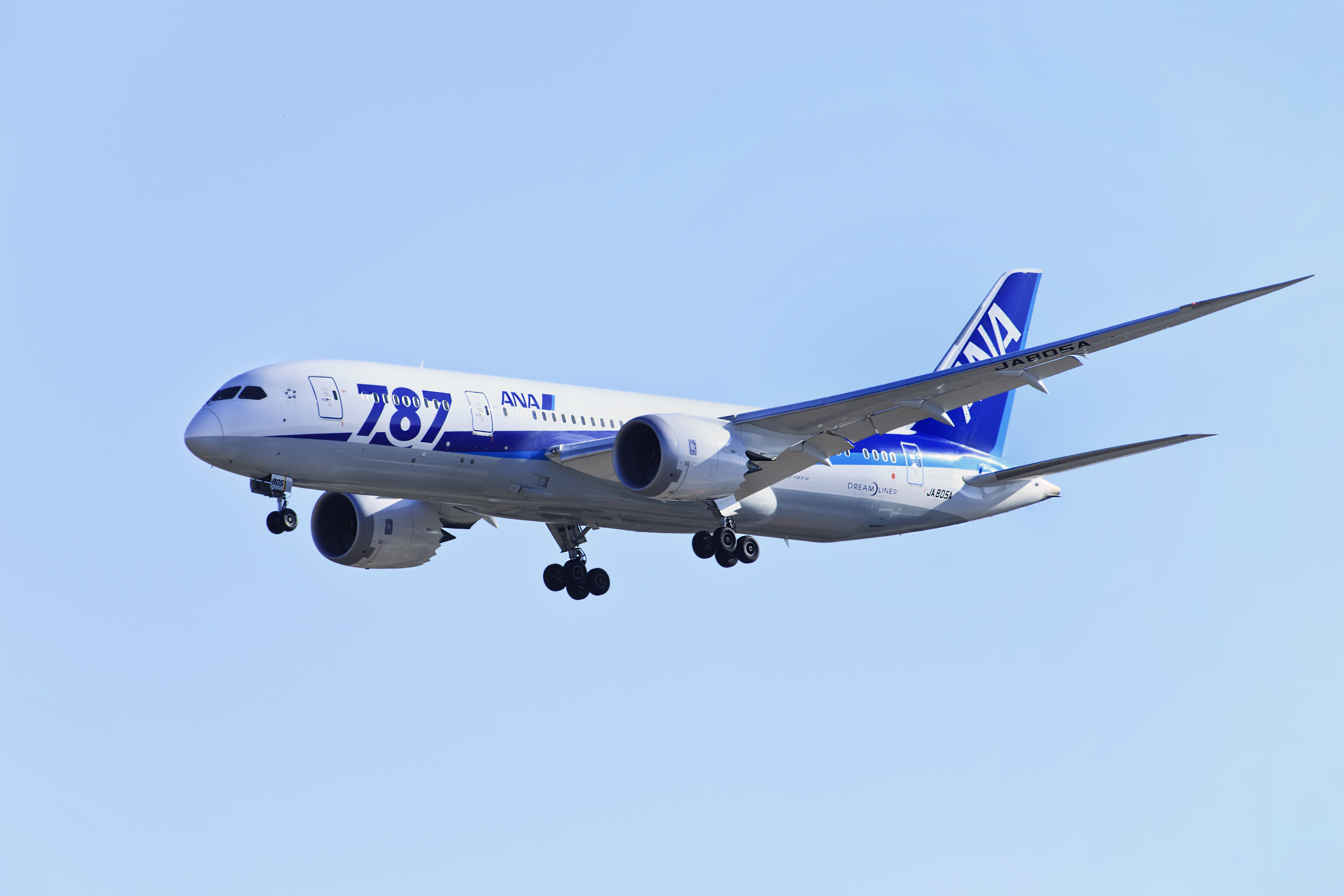 Toray is extending the existing supply agreement for the Boeing 787 Dreamliner.