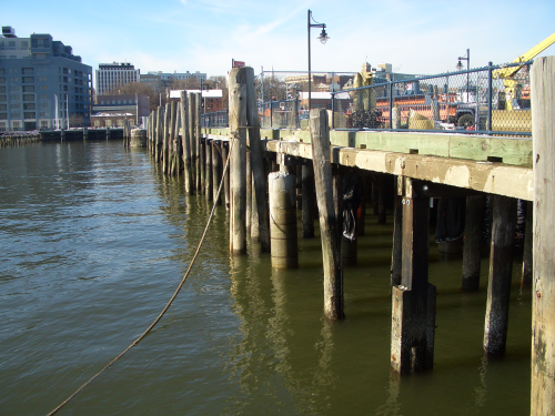 The restoration project, which was prompted by the return of marine borers to New York Harbor causing the fast deterioration of timber piles, began in October 2008 and is scheduled for completion in summer 2009.