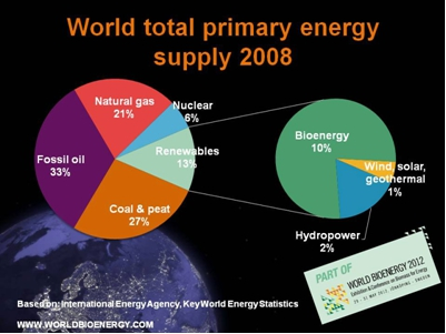 World total primary energy supply 2008.