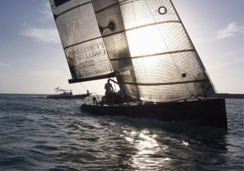 The RC 44 racing yacht.