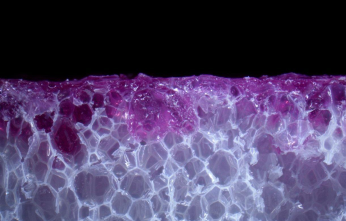 Figure 3. This picture illustrates resin uptake in a PET foam core material.