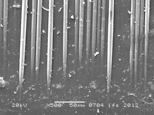 Figure 2c: SEM picture of laser treated surface – at high treatment intensity, fibres are clearly exposed but not damaged.