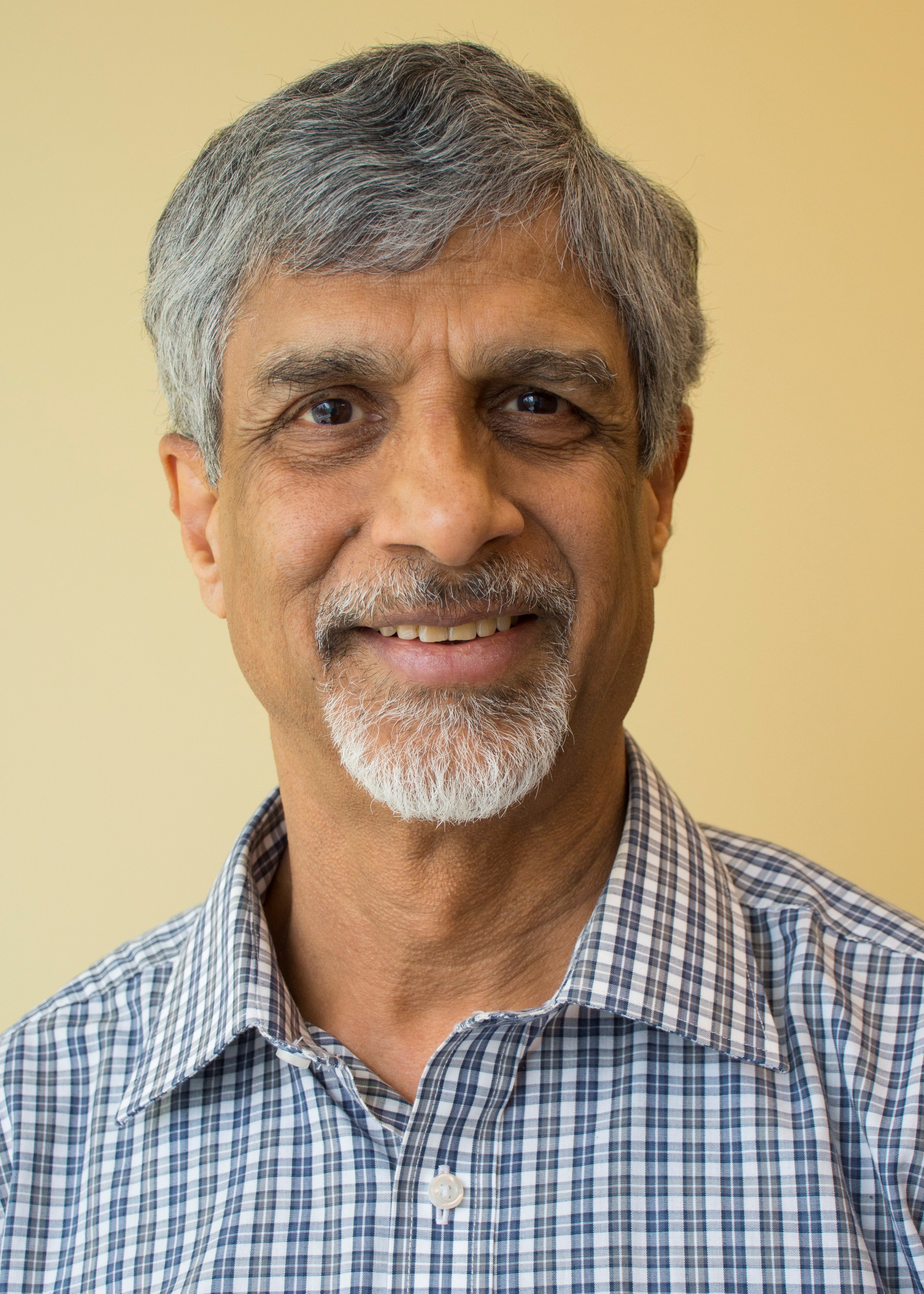 Professor Anil Netravali.