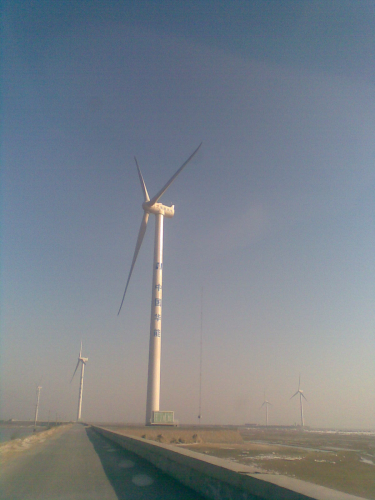 Shandong province wind farm