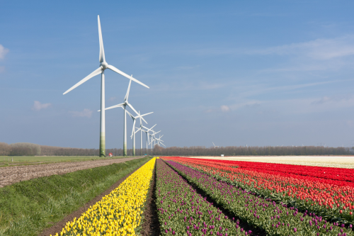The increasing size of wind turbines poses a big challenge to design lightweight blades that meet performance requirements in terms of stiffness and fatigue. (Picture used under license from Shutterstock.com © T.W. van Urk.)