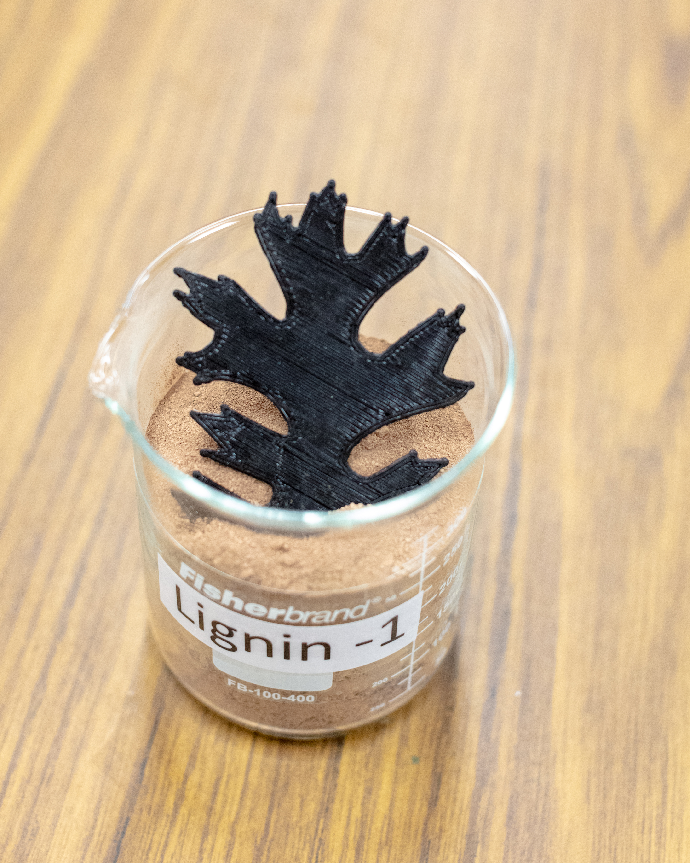 Using as much as 50% lignin by weight, the new composite material created at ORNL is suitable for use in 3D printing.