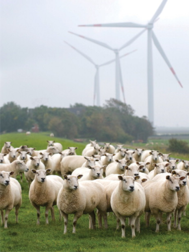 Germany will install more capacity than Spain in the next 10 years, suggests EWEA. Image shows Marienkoog wind farm in Germany, courtesy of the Danish Wind Energy Association and the Global Wind Energy Council.